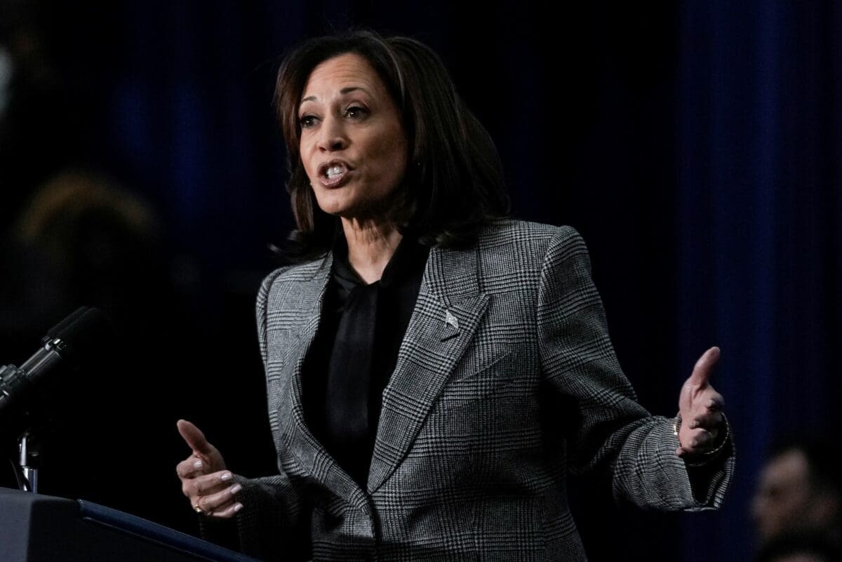 Vice President Kamala Harris speaks at the International Union of Painters and Allied Trades District Council 7, Monday, Jan. 22, 2024, in Big Bend, WI.
