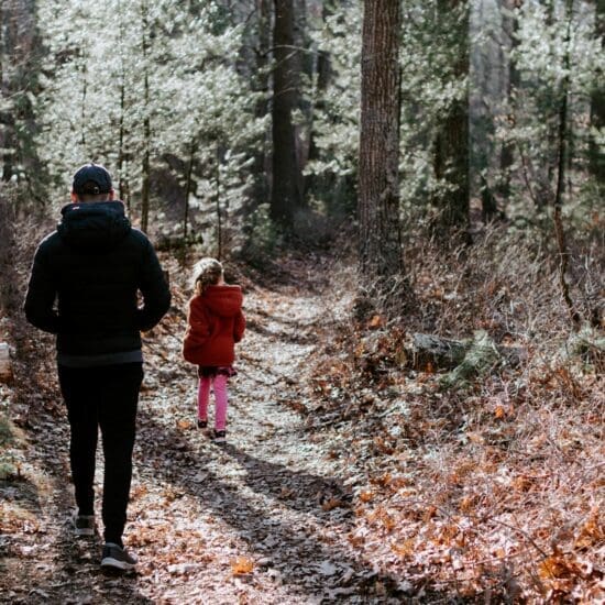 An adult and a child walking in a forest.